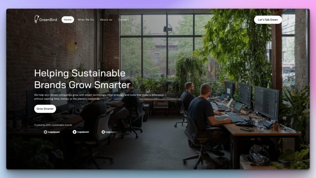 Website Design 1